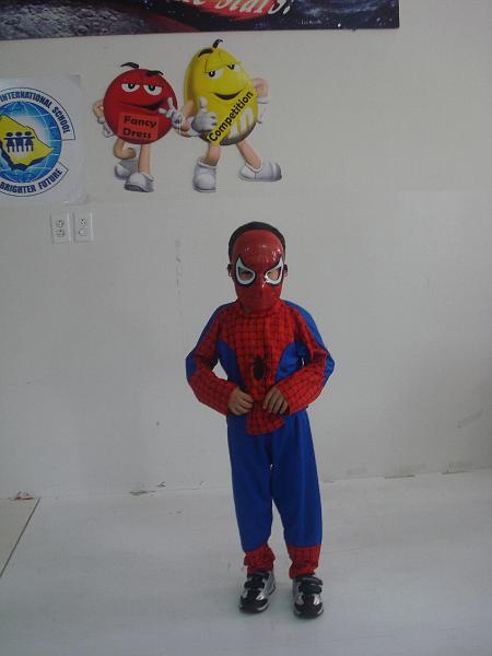 fancy dress 046.jpg